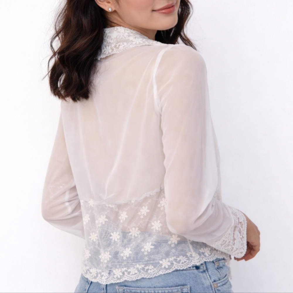 Lace detail sheer blouse (vintage)